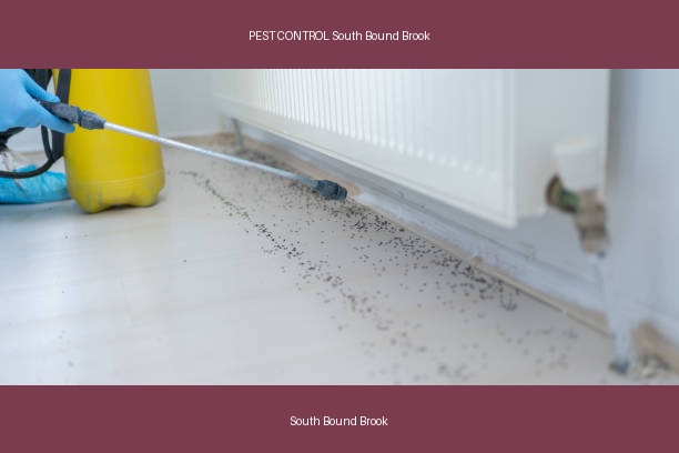 PEST CONTROL South Bound Brook